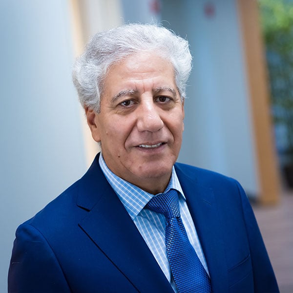 Eric Beghou, Board Member At Beghou Consulting